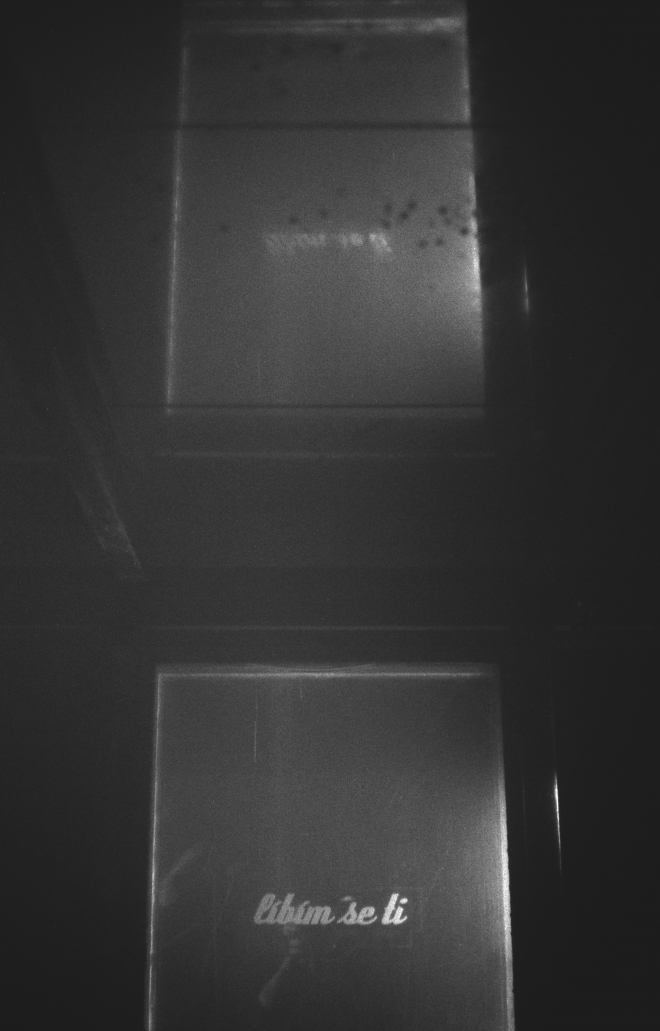 14 KAHN & NEEK, Fuchs2